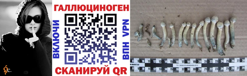 Псилоцибиновые грибы Psilocybine cubensis Кубинка
